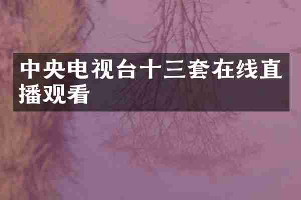中央电视台十三套在线直播观看