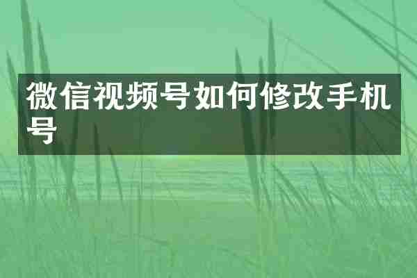 微信视频号如何修改手机号
