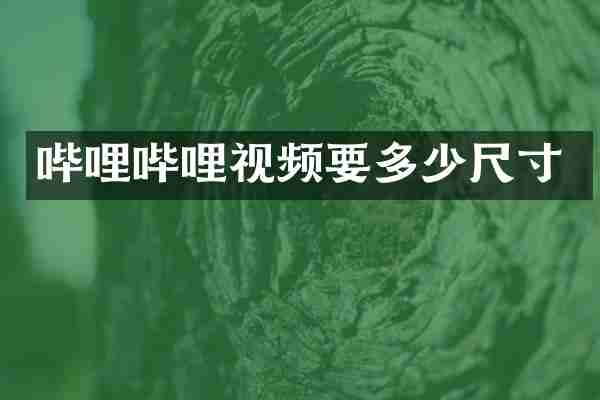 哔哩哔哩视频要多少尺寸