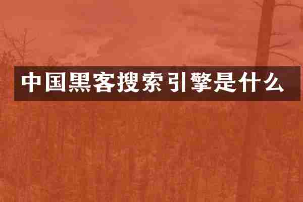 中国黑客搜索引擎是什么