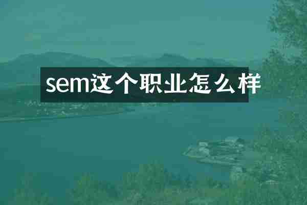 sem这个职业怎么样