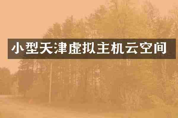 小型天津虚拟主机云空间