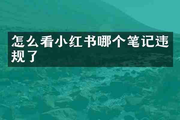 怎么看小红书哪个笔记违规了