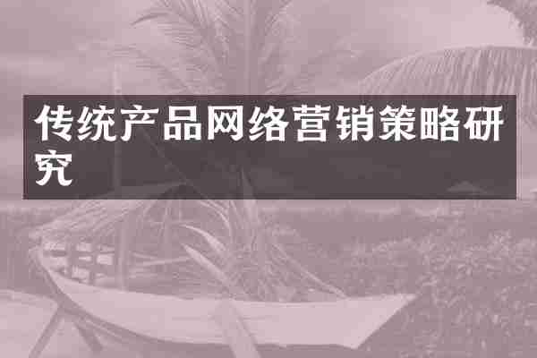 传统产品网络营销策略研究