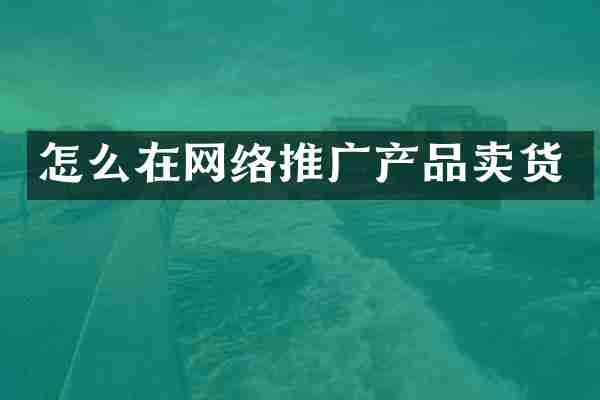 怎么在网络推广产品卖货