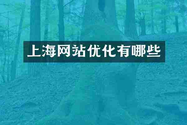 上海网站优化有哪些