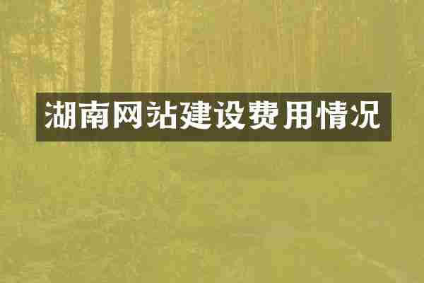 湖南网站建设费用情况