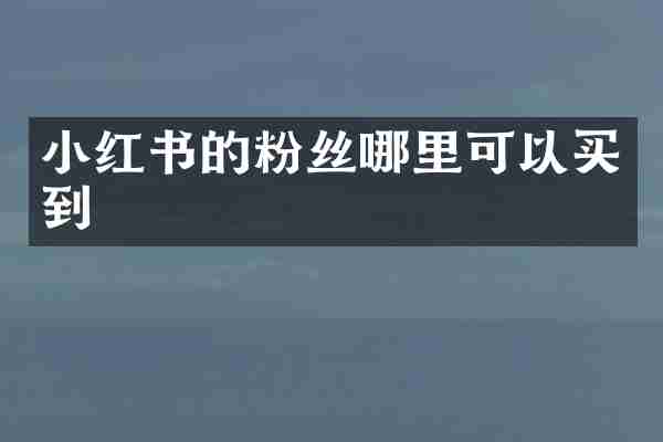 小红书的粉丝哪里可以买到
