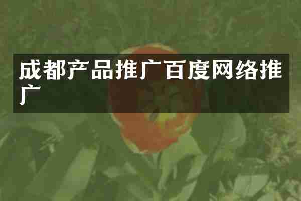 成都产品推广百度网络推广
