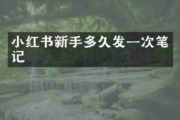 小红书新手多久发一次笔记