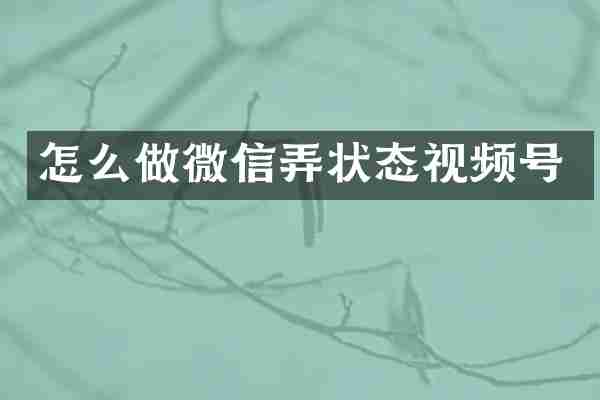 怎么做微信弄状态视频号