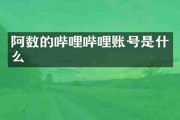 阿数的哔哩哔哩账号是什么