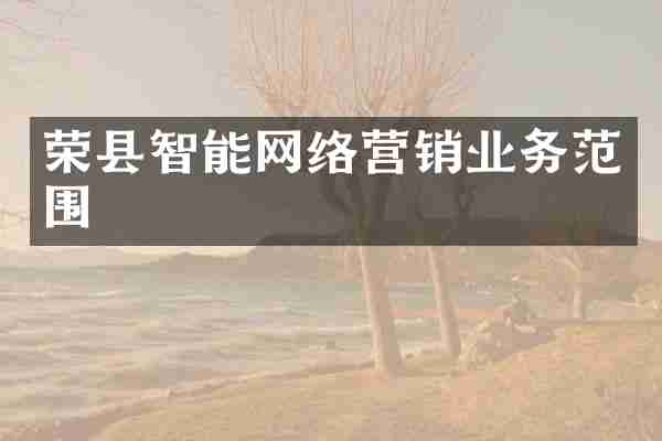 荣县智能网络营销业务范围