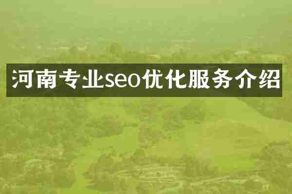 河南专业seo优化服务介绍