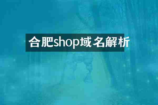 合肥shop域名解析