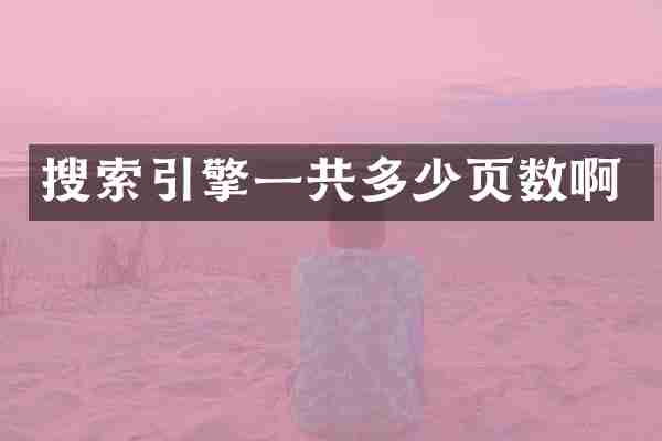 搜索引擎一共多少页数啊