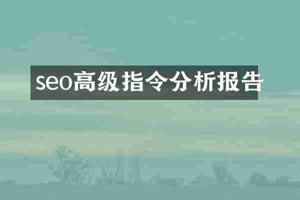 seo高级指令分析报告