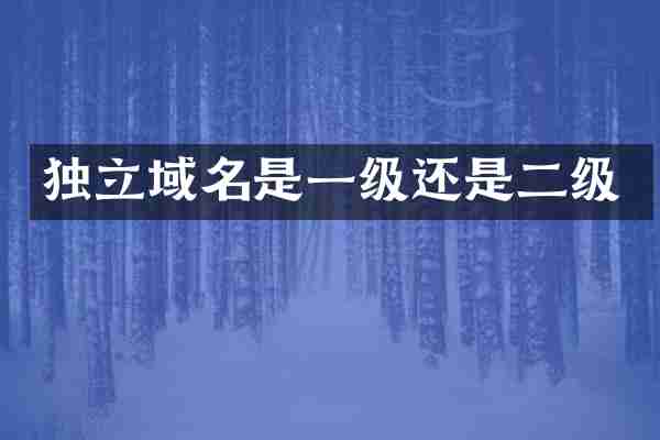 独立域名是一级还是二级