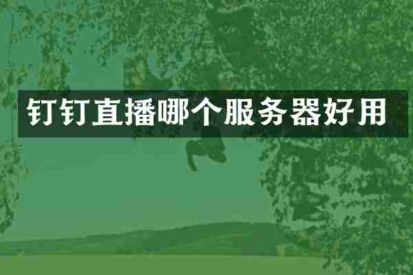 钉钉直播哪个服务器好用