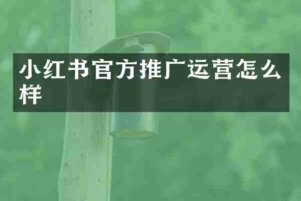 小红书官方推广运营怎么样