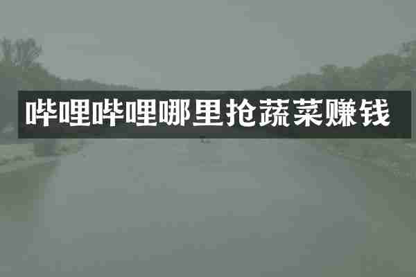 哔哩哔哩哪里抢蔬菜赚钱