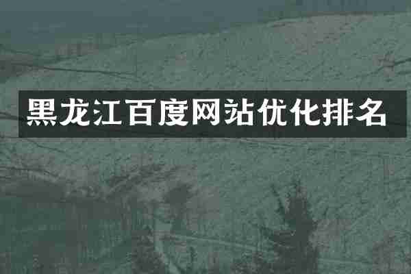 黑龙江百度网站优化排名