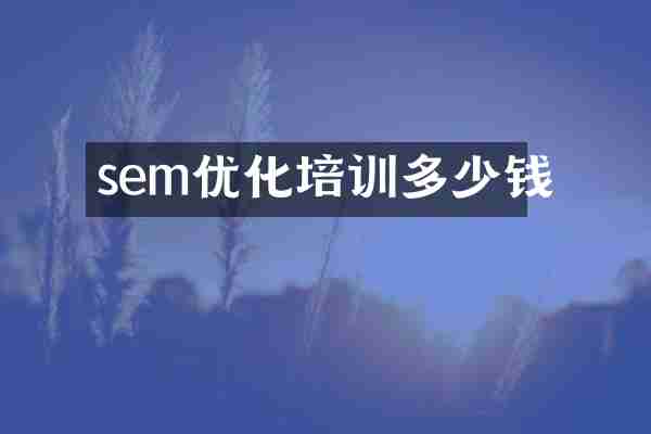 sem优化培训多少钱