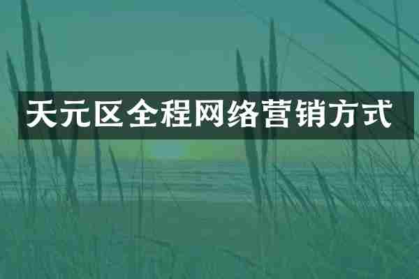 天元区全程网络营销方式