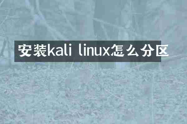 安装kali linux怎么分区