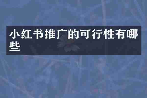 小红书推广的可行性有哪些