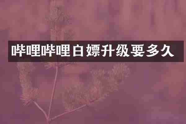 哔哩哔哩白嫖升级要多久
