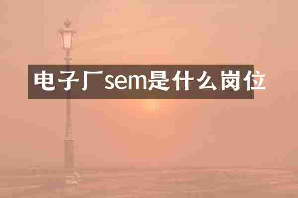 电子厂sem是什么岗位