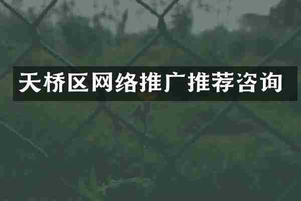 天桥区网络推广推荐咨询