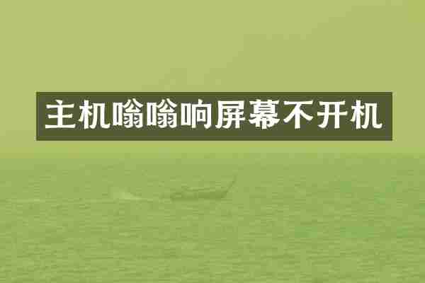 主机嗡嗡响屏幕不开机
