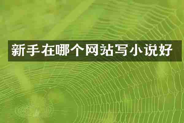 新手在哪个网站写小说好