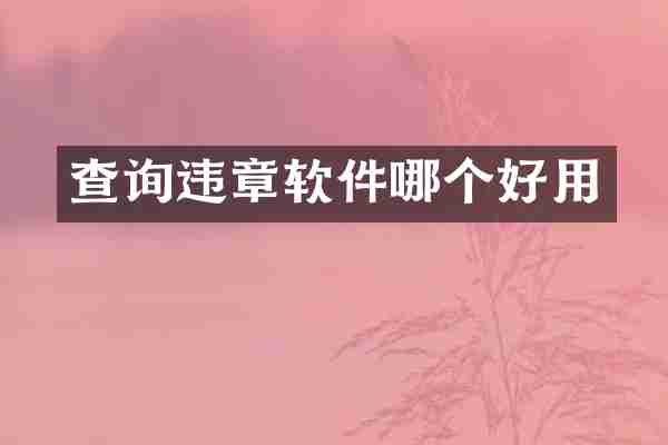 查询违章软件哪个好用