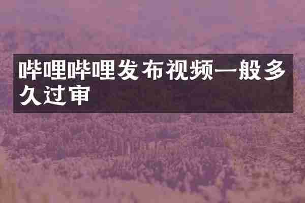 哔哩哔哩发布视频一般多久过审