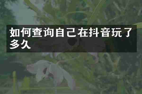 如何查询自己在抖音玩了多久