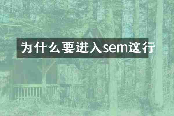 为什么要进入sem这行
