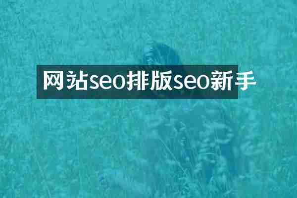 网站seo排版seo新手