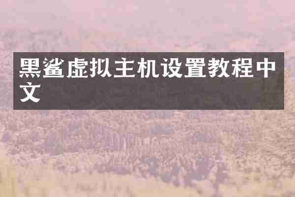 黑鲨虚拟主机设置教程中文