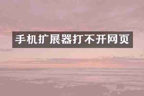手机扩展器打不开网页