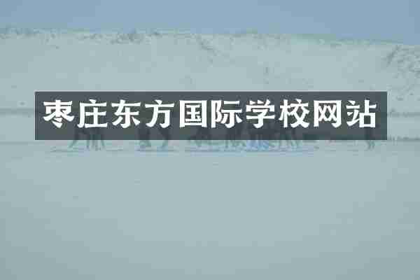 枣庄东方国际学校网站