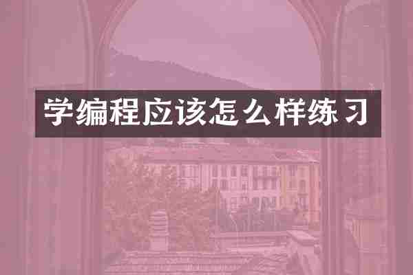 学编程应该怎么样练习
