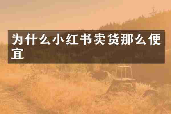 为什么小红书卖货那么便宜