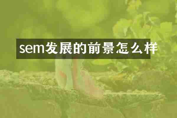 sem发展的前景怎么样