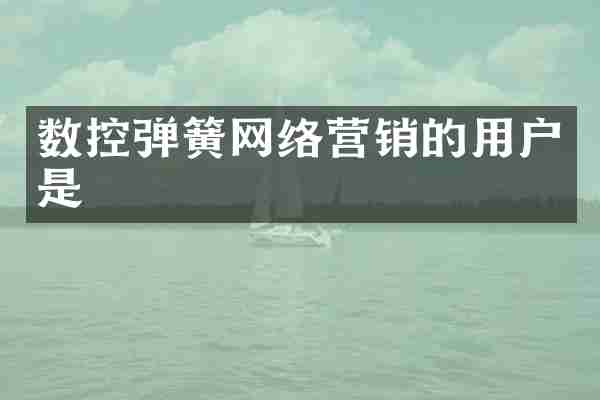 数控弹簧网络营销的用户是
