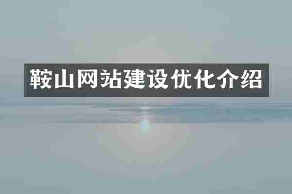 鞍山网站建设优化介绍