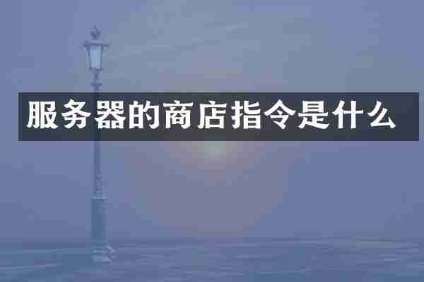 服务器的商店指令是什么