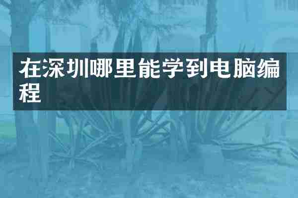 在深圳哪里能学到电脑编程